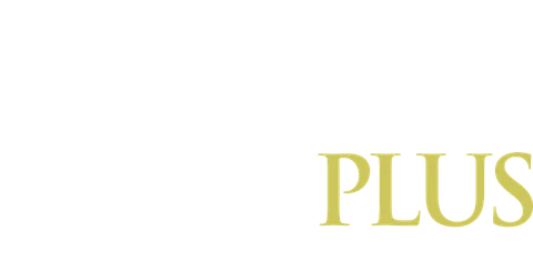 Pavers Plus Custom Landscape Solutions
