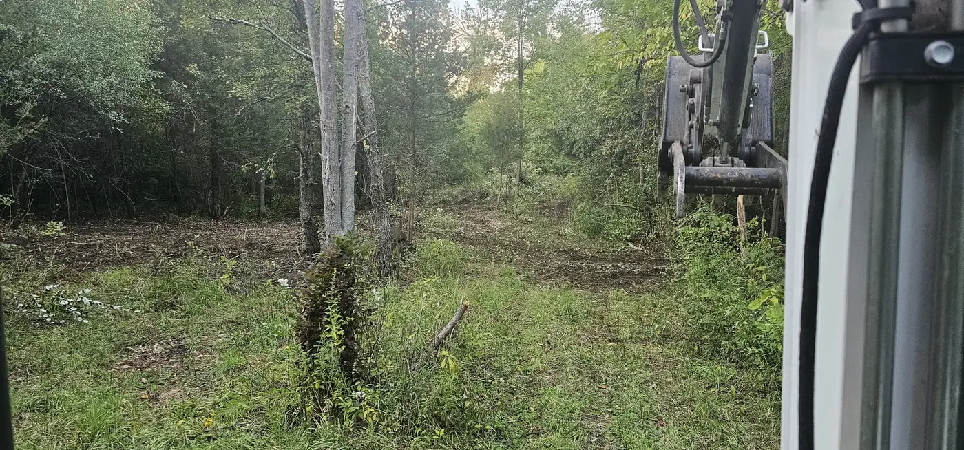 Wooded area cleared of brush with an excavator