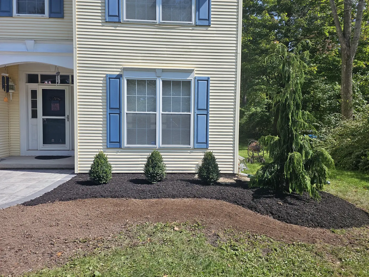 Front foundation bed with new shrubs, a weeping evergreen and fresh mulch